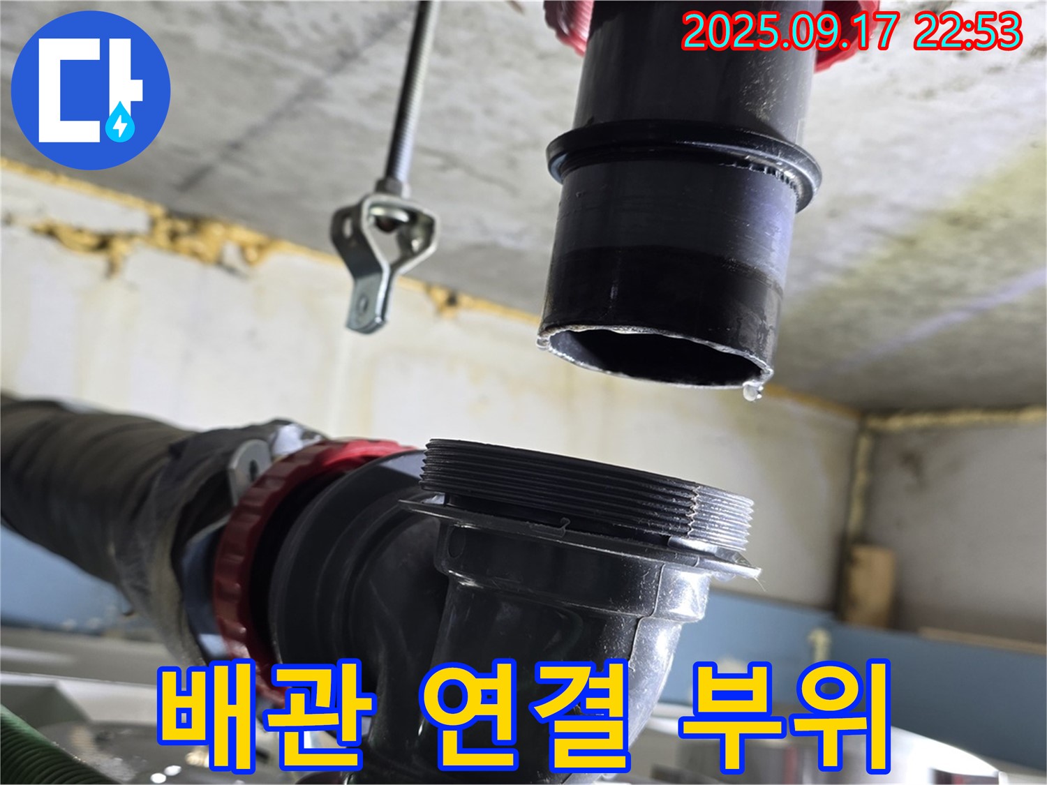 싱크대 하수구 배관 연결 부위 확인 - 누수 발생 가능성이 높은 배관 연결 부위를 집중적으로 확인하고 있습니다.