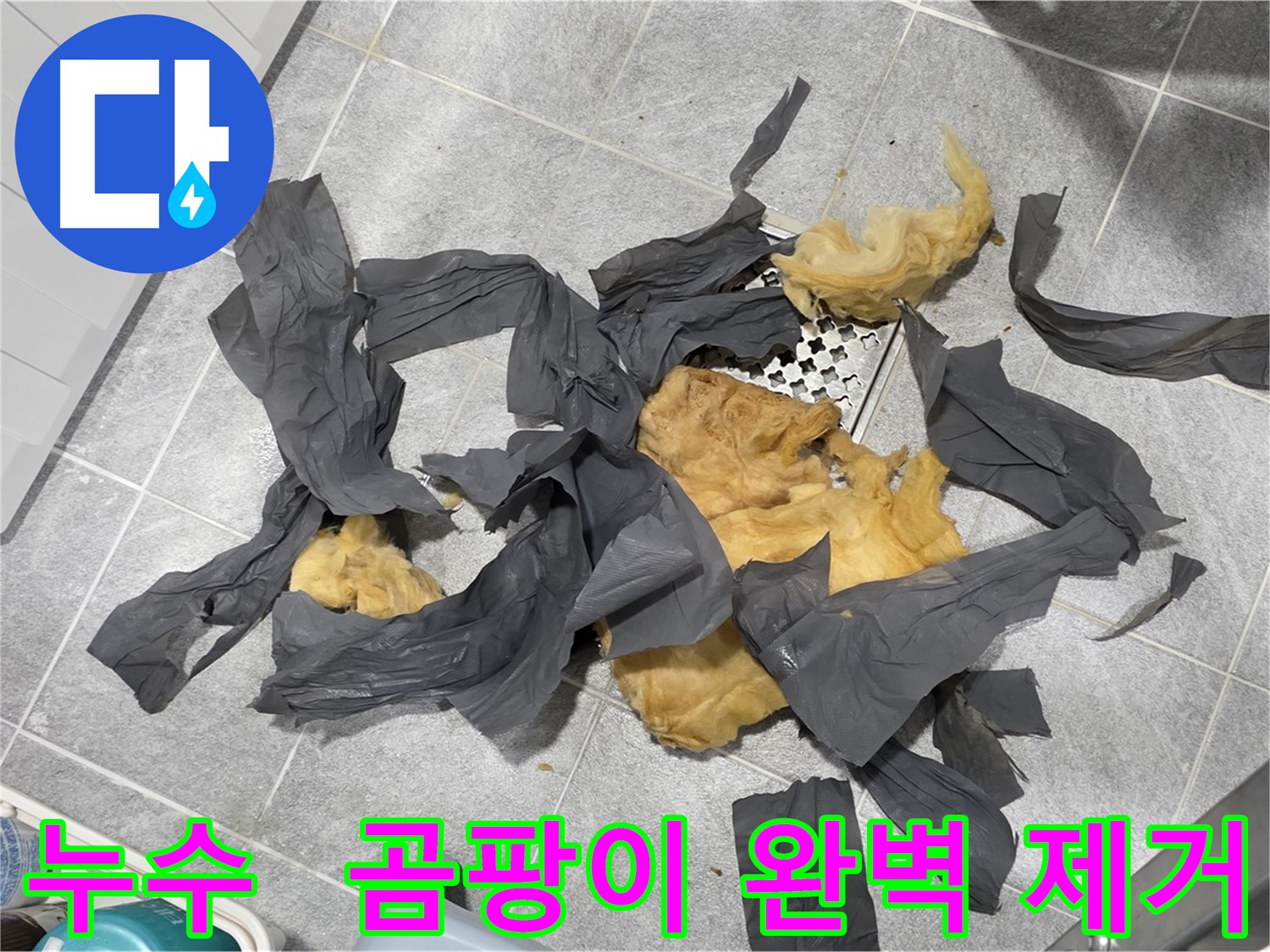 하수 배관 곰팡이 방음재 - 완벽 제거 시공