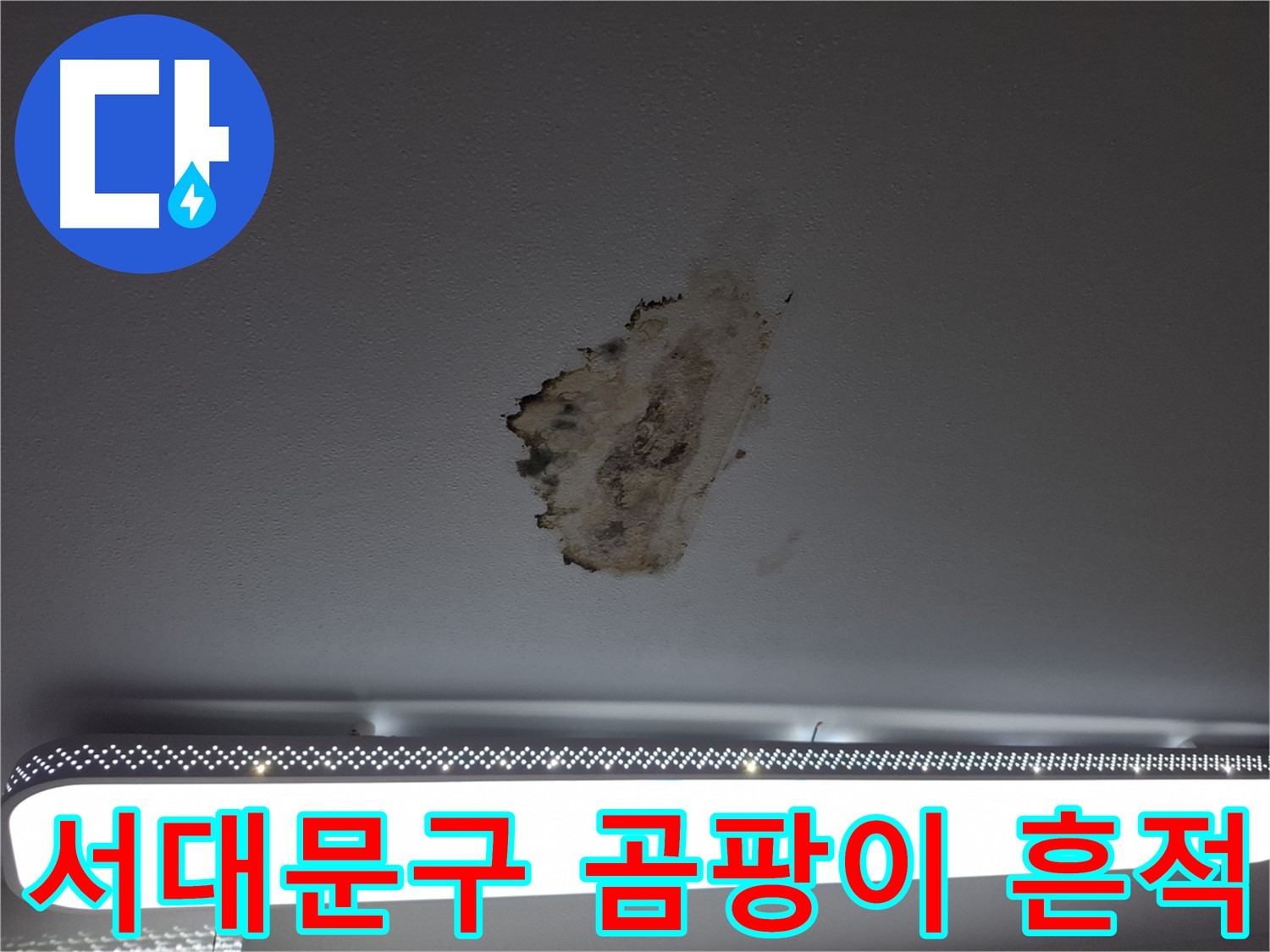 곰팡이 뒤덮인 천장 - 고통의 흔적을 지워드립니다