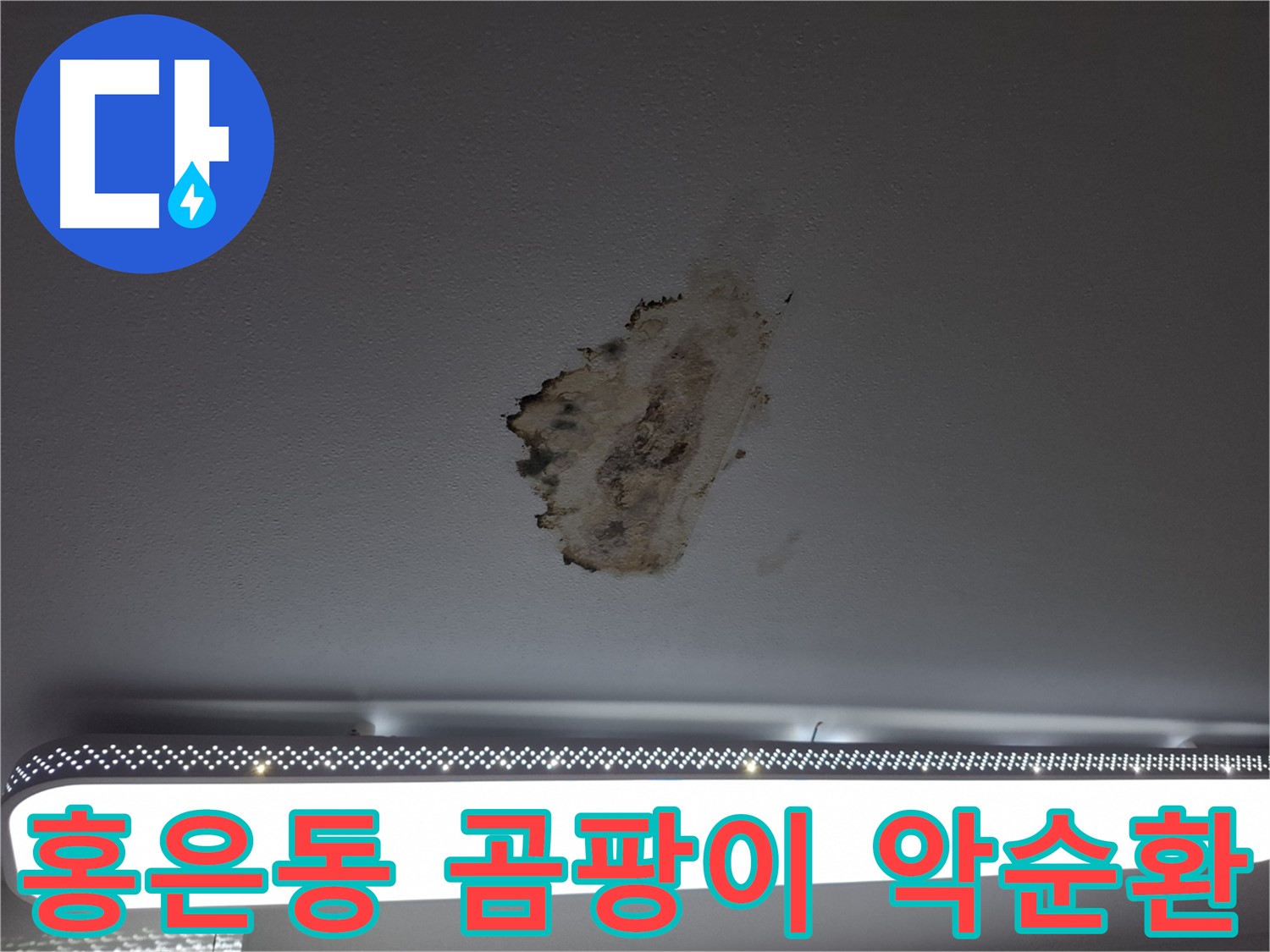 천장 곰팡이 - 곰팡이 악순환, 이제 끊어내세요