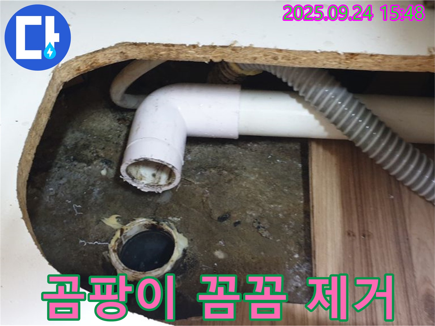 월계3동 싱크대 배수구 - 배수구 주변 곰팡이를 꼼꼼하게 제거하여 쾌적한 환경을 만들어 드렸습니다.