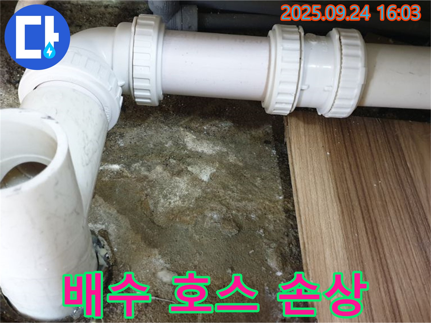 월계동 - 싱크대 배수 호스 손상으로 인한 누수 - 낡은 호스 교체와 누수 점검