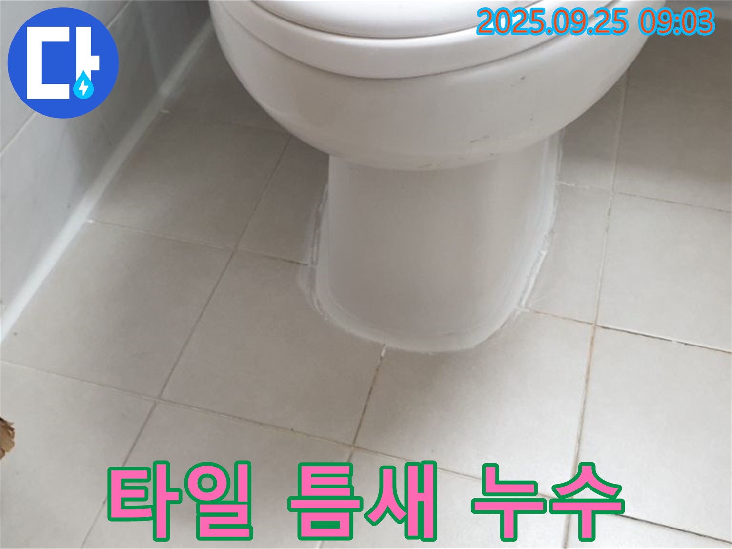 양주 광적면 변기 누수 - 타일 틈새까지 꼼꼼하게 점검하여 누수 원인을 정확히 파악하고 해결합니다.