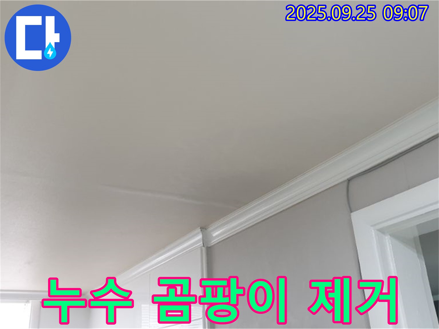 양주 연곡리 아파트 누수 - 누수 원인 해결은 물론, 천장 곰팡이까지 깨끗하게 제거해 드립니다.