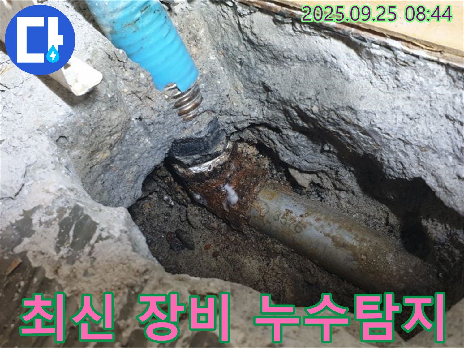 양주시 백석읍에서 최신 장비를 사용하여 숨은 누수를 찾아내는 모습 - 정확한 누수 탐지를 위한 장비 활용입니다.