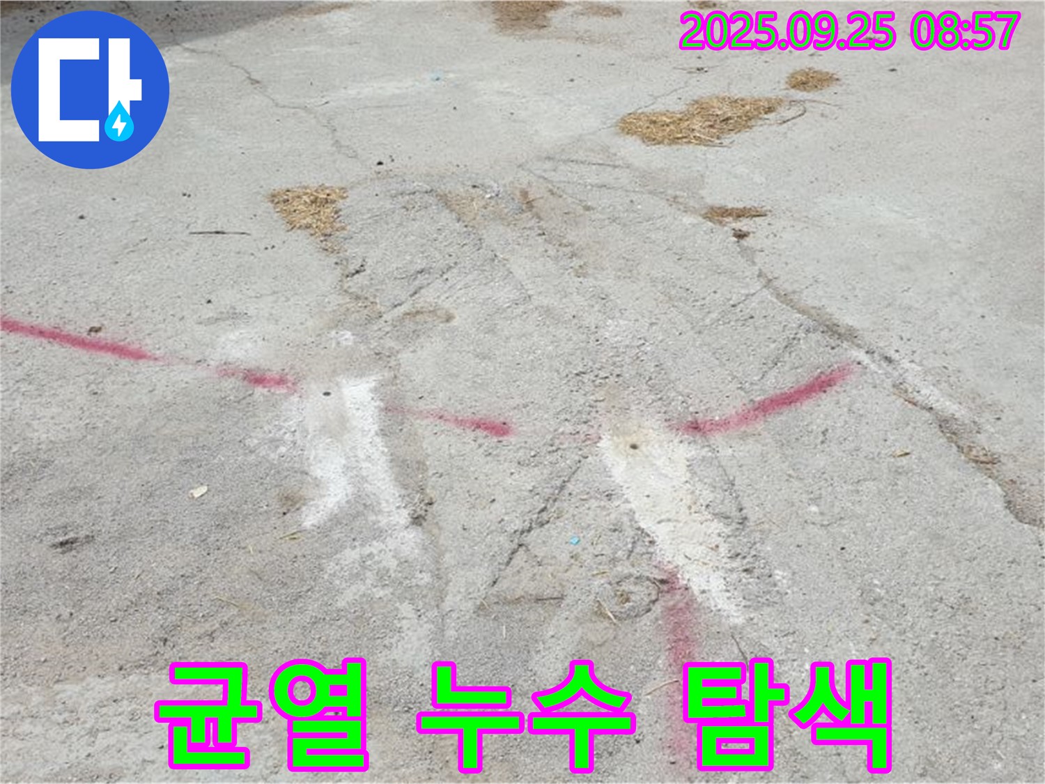 균열 누수 탐색 - 양주 백석에서 누수탐지 전문가가 균열 부위를 집중적으로 탐색