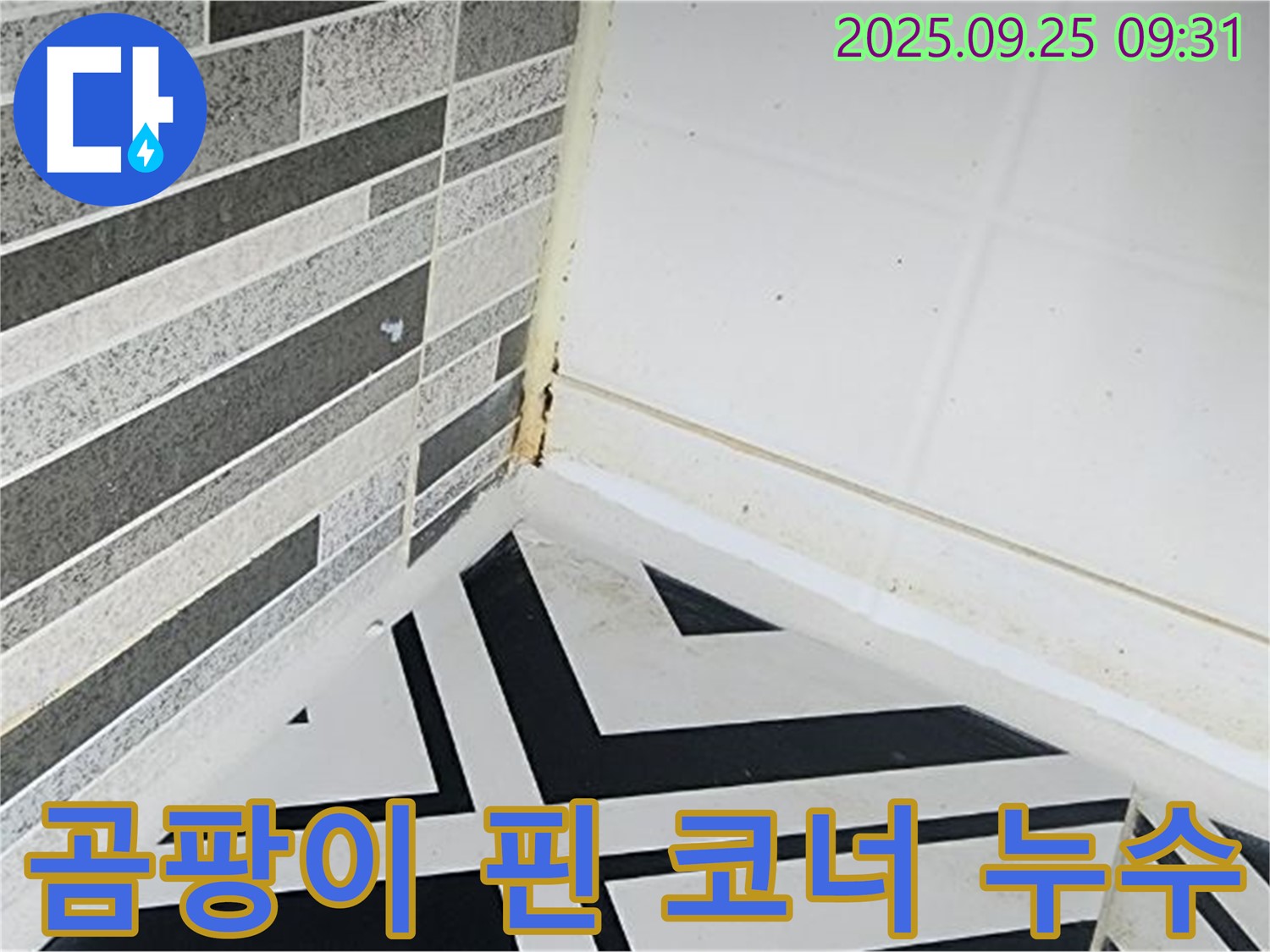 양주시 백석읍 오산리 - 곰팡이 핀 욕실 코너 누수 - 누수로 인한 곰팡이 발생 상태를 보여주는 이미지