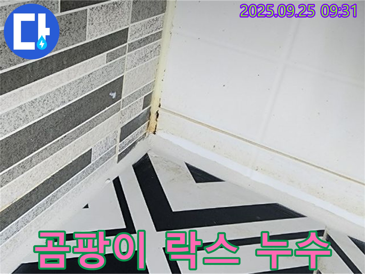 양주시 백석읍 오산리 - 락스로 곰팡이를 제거하려는 모습 - 일시적인 효과만 있을 뿐