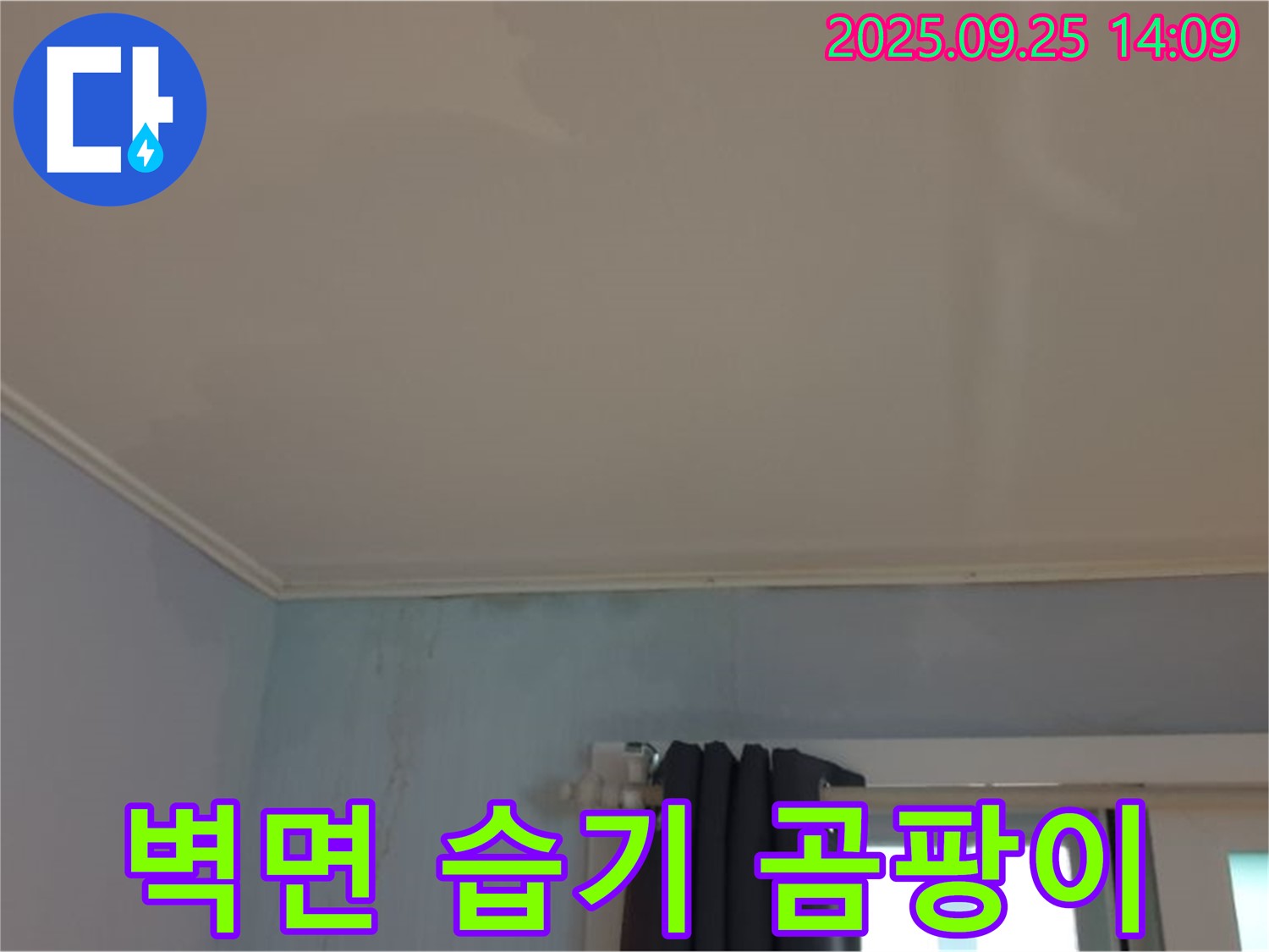 의정부 호원1동 310번지 누수 - 벽면에 습기가 있고 곰팡이 냄새가 심하게 남
