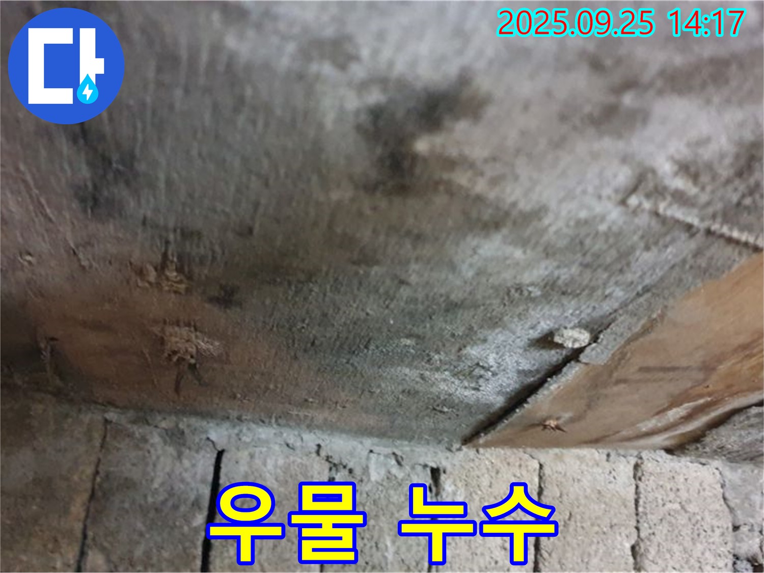 의정부 호원동 누수 현장 - 벽돌 우물에 누수가 발생하여 물이 오염될 가능성이 있는 모습입니다.