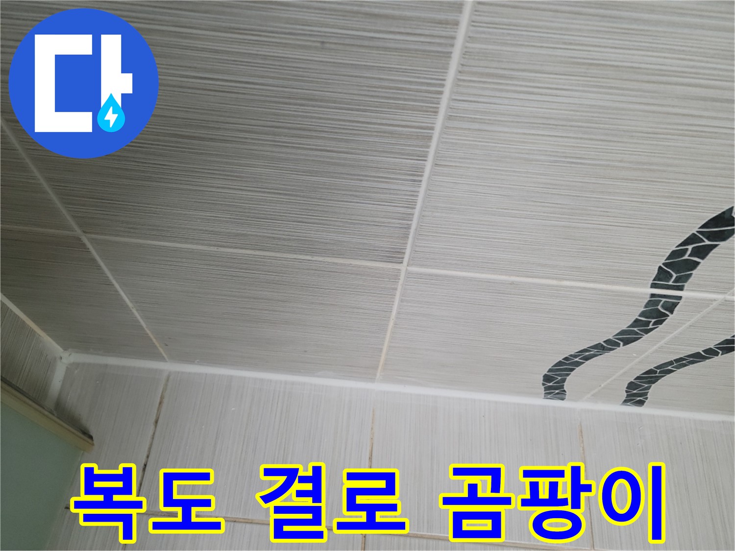동두천 누수 - 아파트 복도식 쪽에 결로 현상으로 벽에 곰팡이가 발생한 것을 확인했습니다.