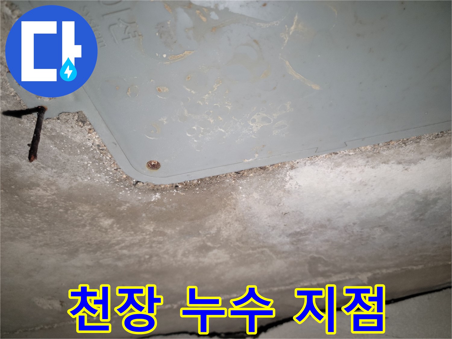 동두천 누수 - 천장 누수 지점 정밀 탐지 - 최신 장비 사용