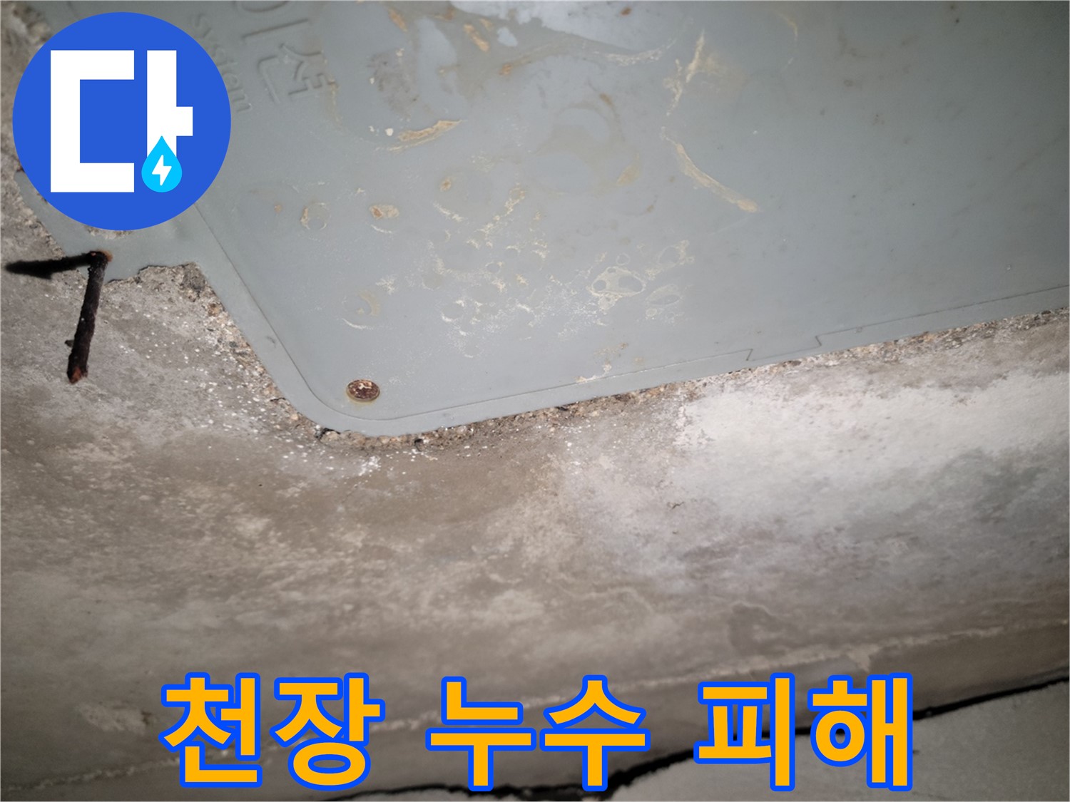 동두천 누수 - 천장 누수 피해 상황 - 합리적인 가격 제시