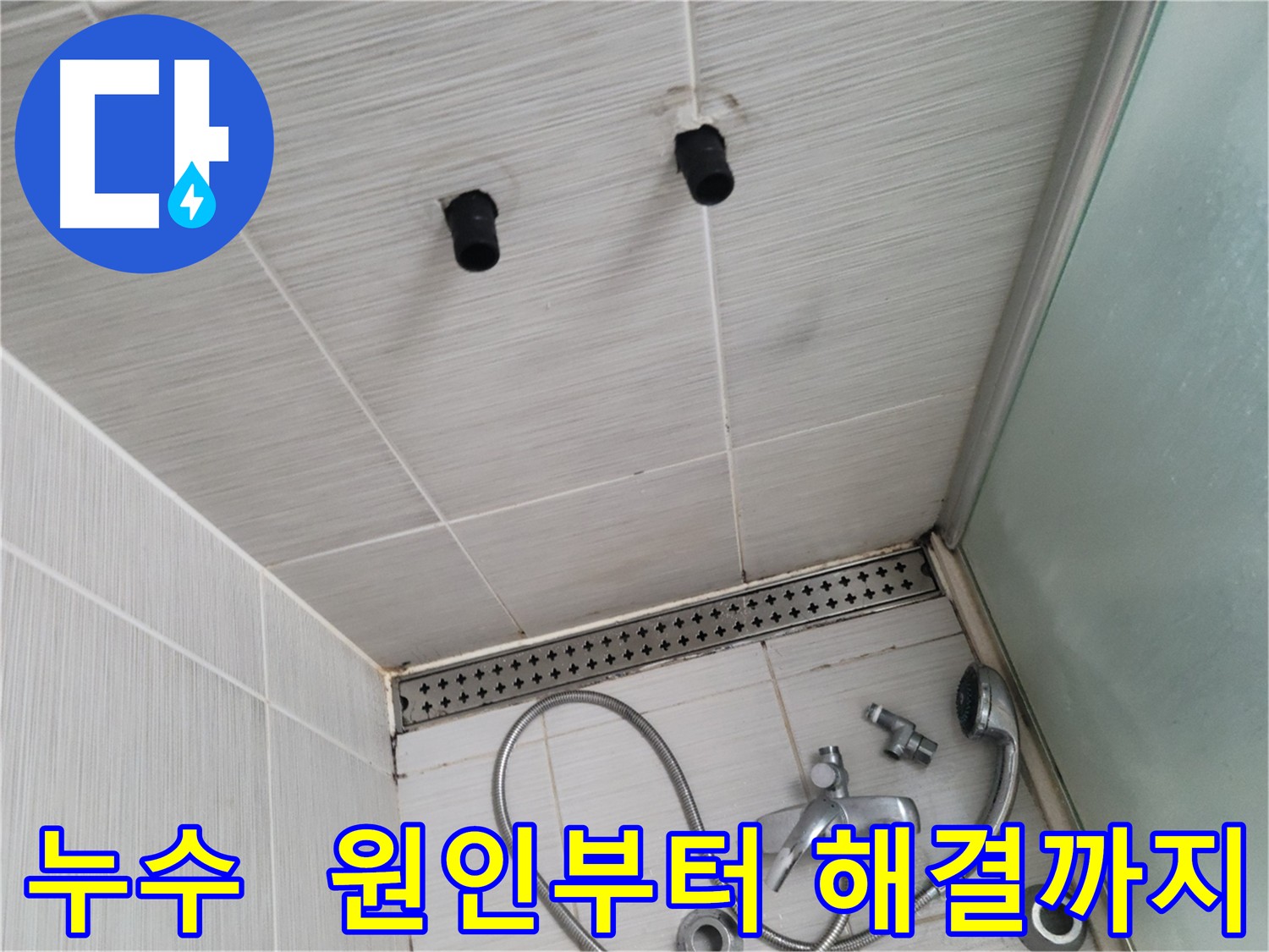 화장실 누수 - 건물 손상, 곰팡이, 세균 번식 유발