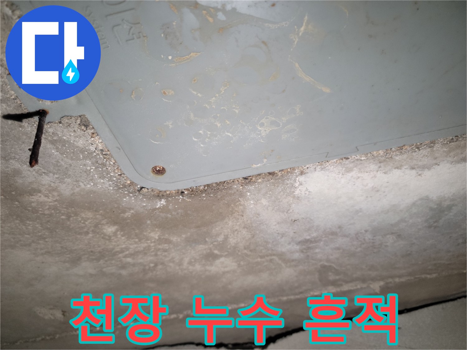 동두천 누수 현장 - 천장 누수 흔적 발견 - 누수 원인 파악 중
