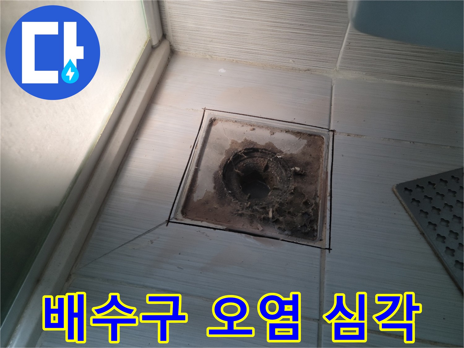 욕실 배수구 주변 심각한 오염 상태 - 누수 및 악취 유발