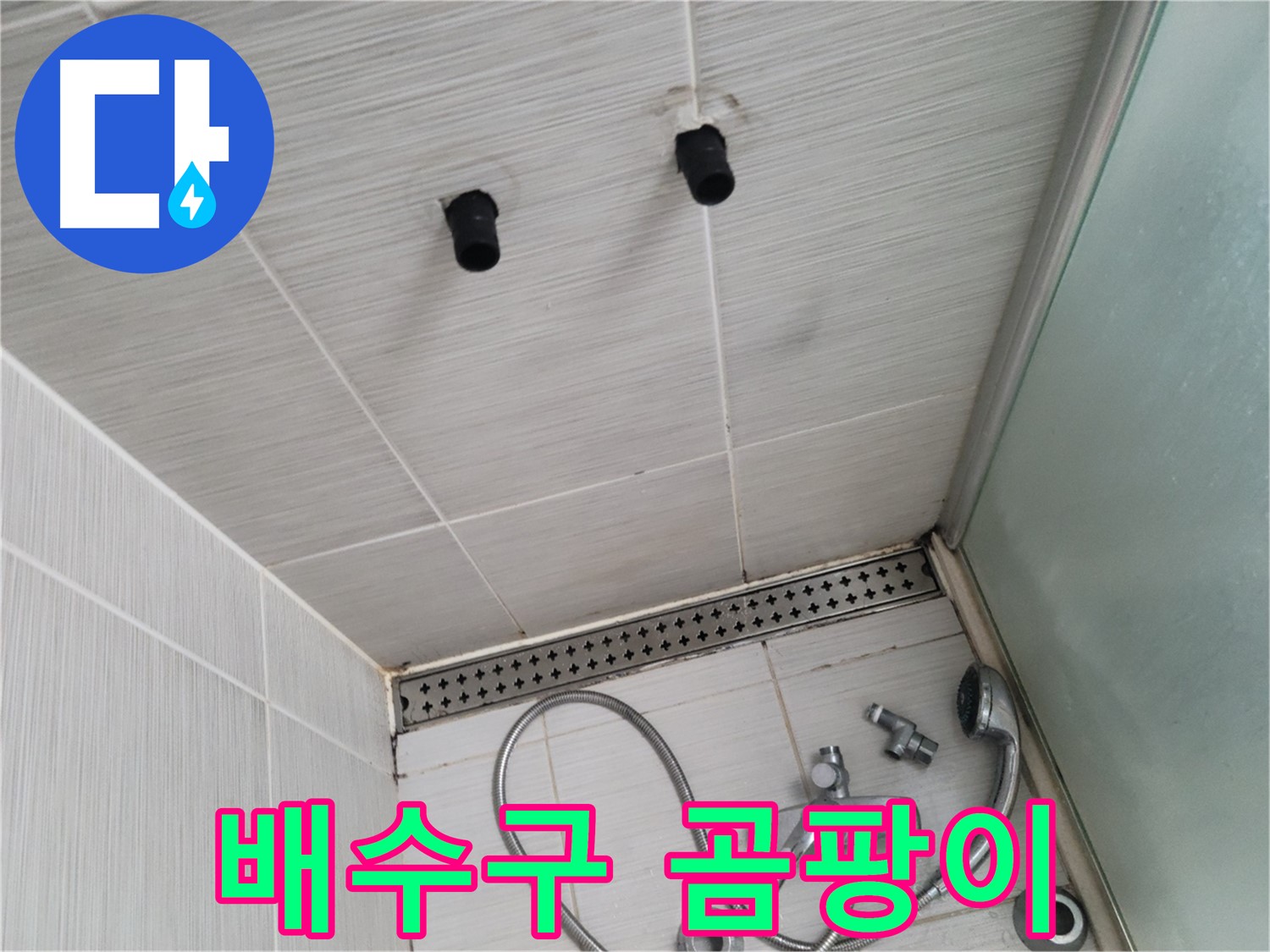 동두천 신창동 - 샤워기 주변 배수구 트랩의 곰팡이와 물때 - 곰팡이와 물때로 뒤덮인 배수구!