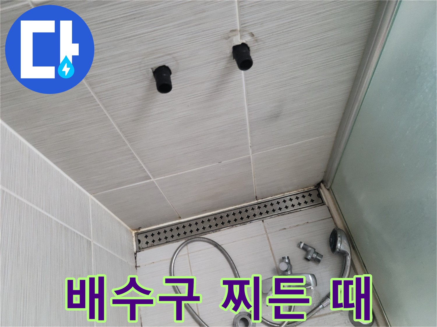 동두천 신창동 - 샤워기 주변 배수구의 찌든 때와 곰팡이 - 찌든 때는 세균의 온상!