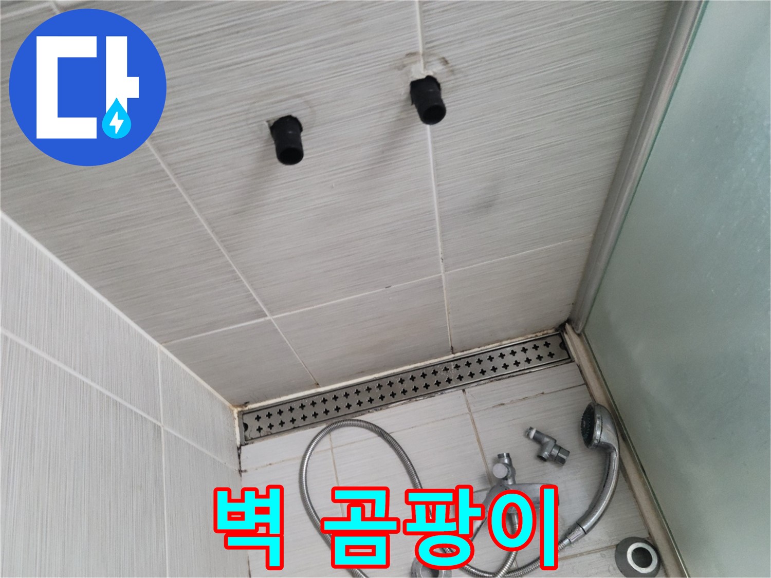 동두천 신창동 - 샤워기 주변 벽 곰팡이 상태 - 벽 곰팡이, 건강을 위협하는 존재!