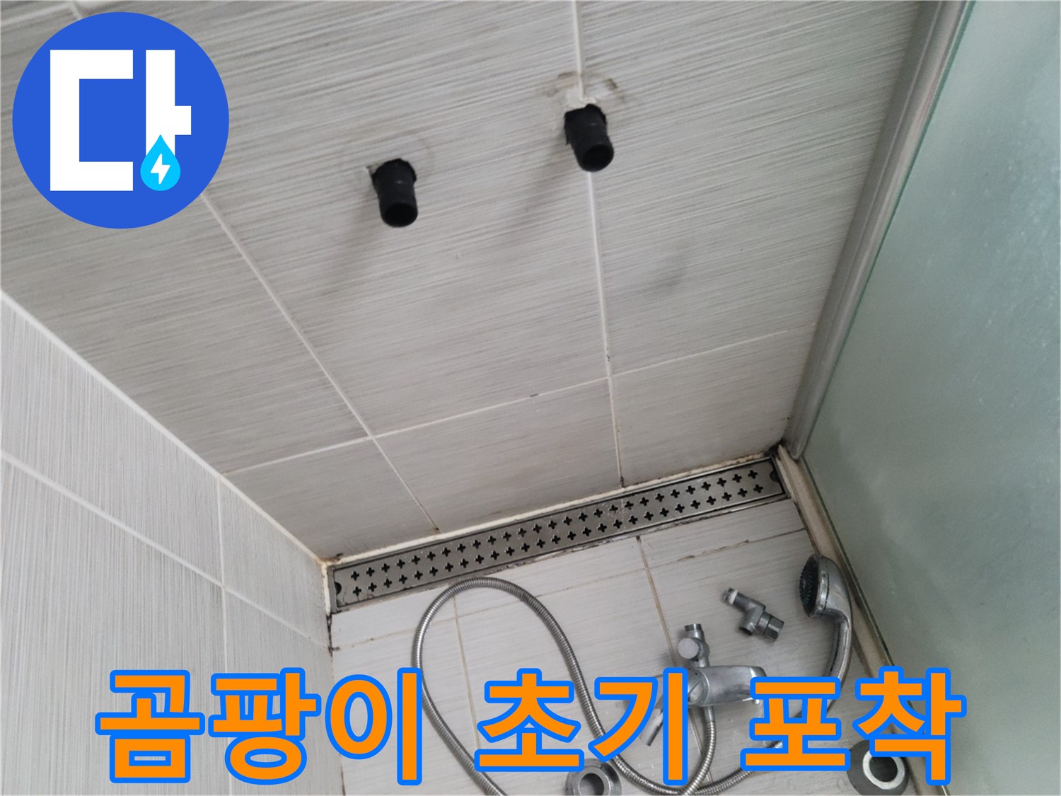 동두천 신창비바 - 샤워기 자리 벽면 타일 곰팡이 발생 초기 단계 포착