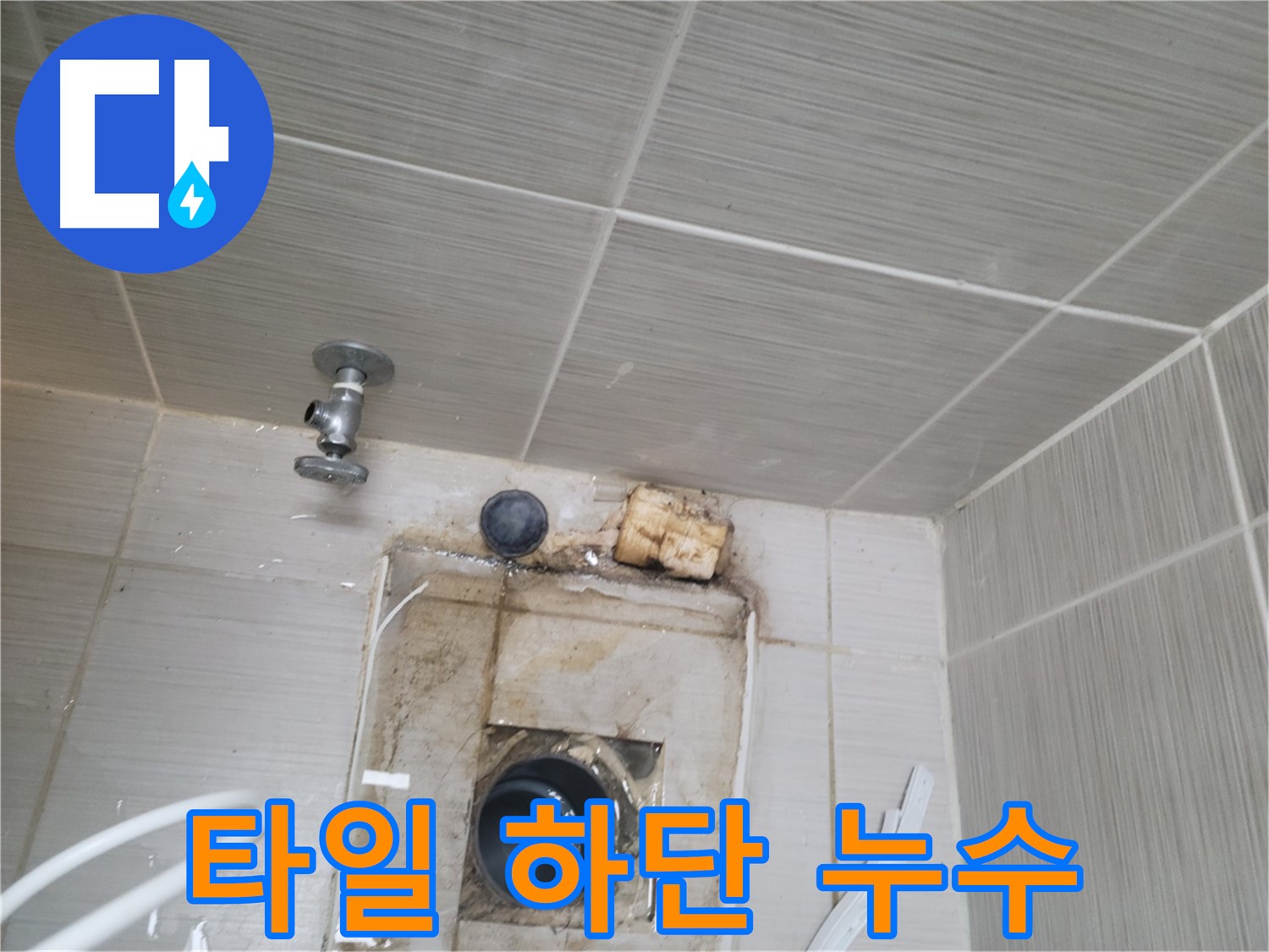 동두천 신창비바패밀리-2단지 벽 타일 하단 곰팡이와 누수 흔적 발견