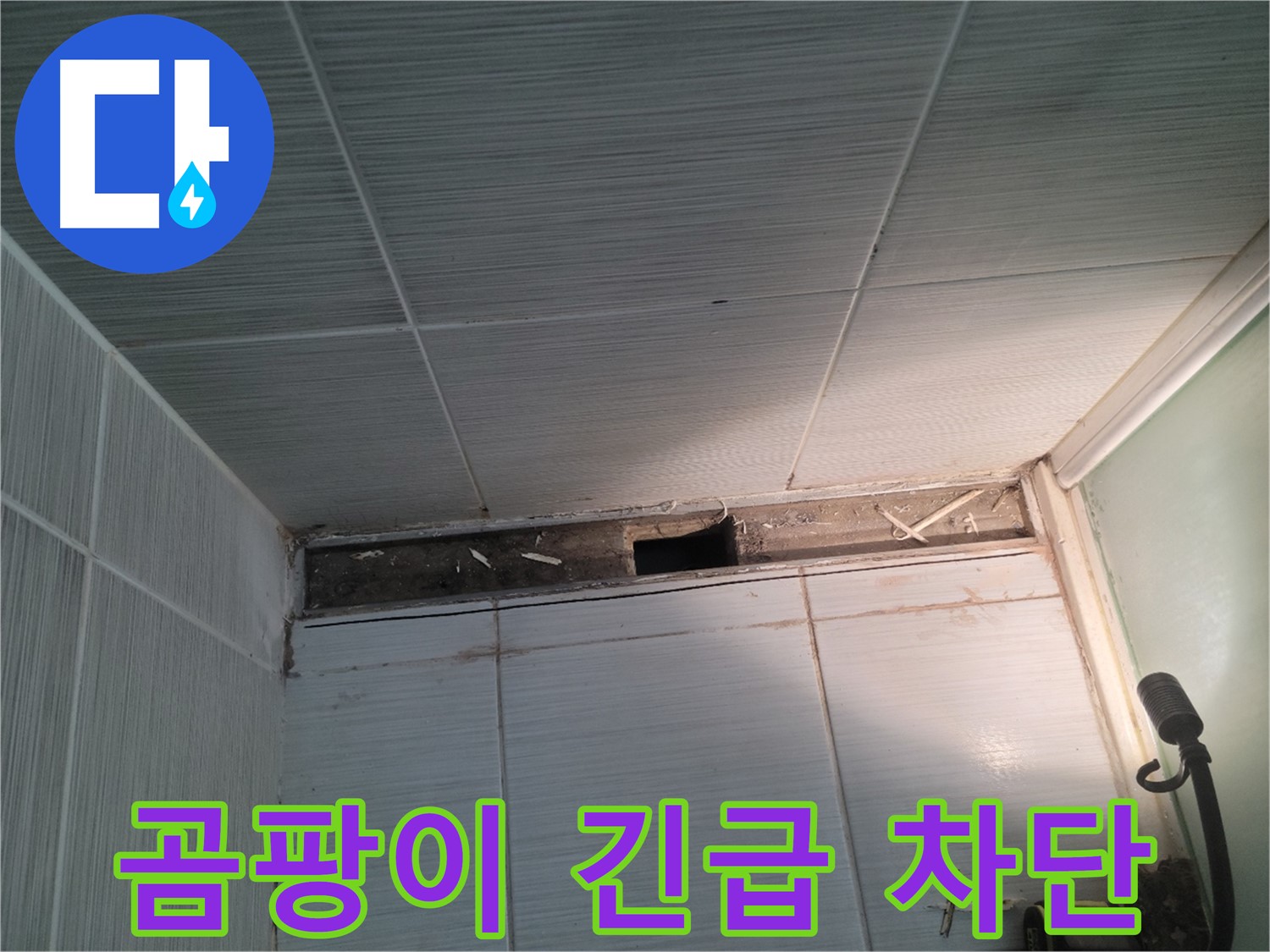 동두천 신창비바패밀리 욕실 천장 누수 - 곰팡이 발견, 긴급 차단