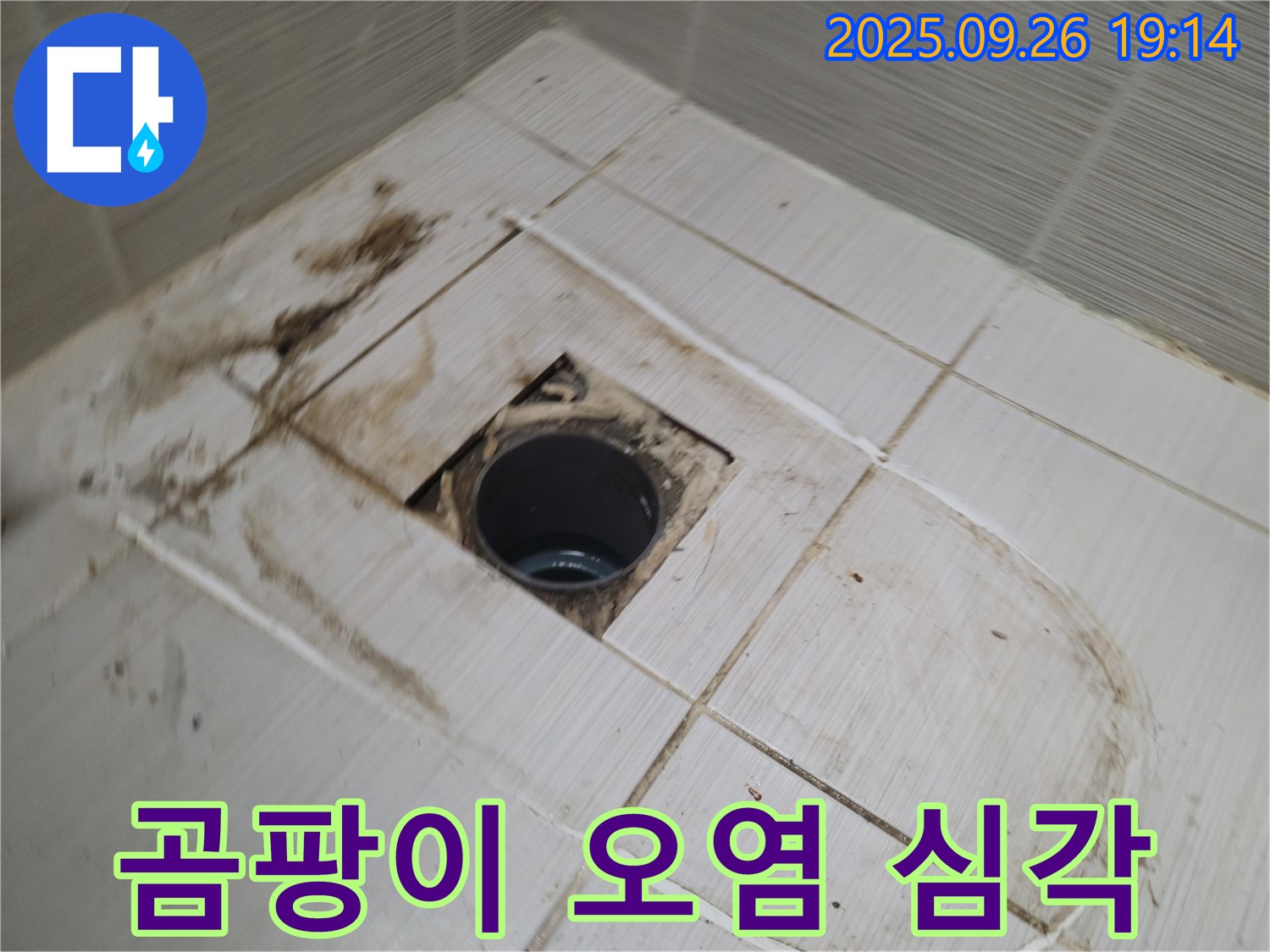 동두천시 봉암동 누수 - 배수구 주변 타일 제거 후 드러난 곰팡이와 심각한 오염 상태