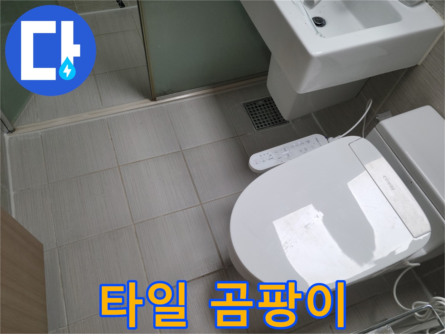 동두천시 송내동 - 변기 주변 타일 곰팡이, 누수 및 습기 원인 점검