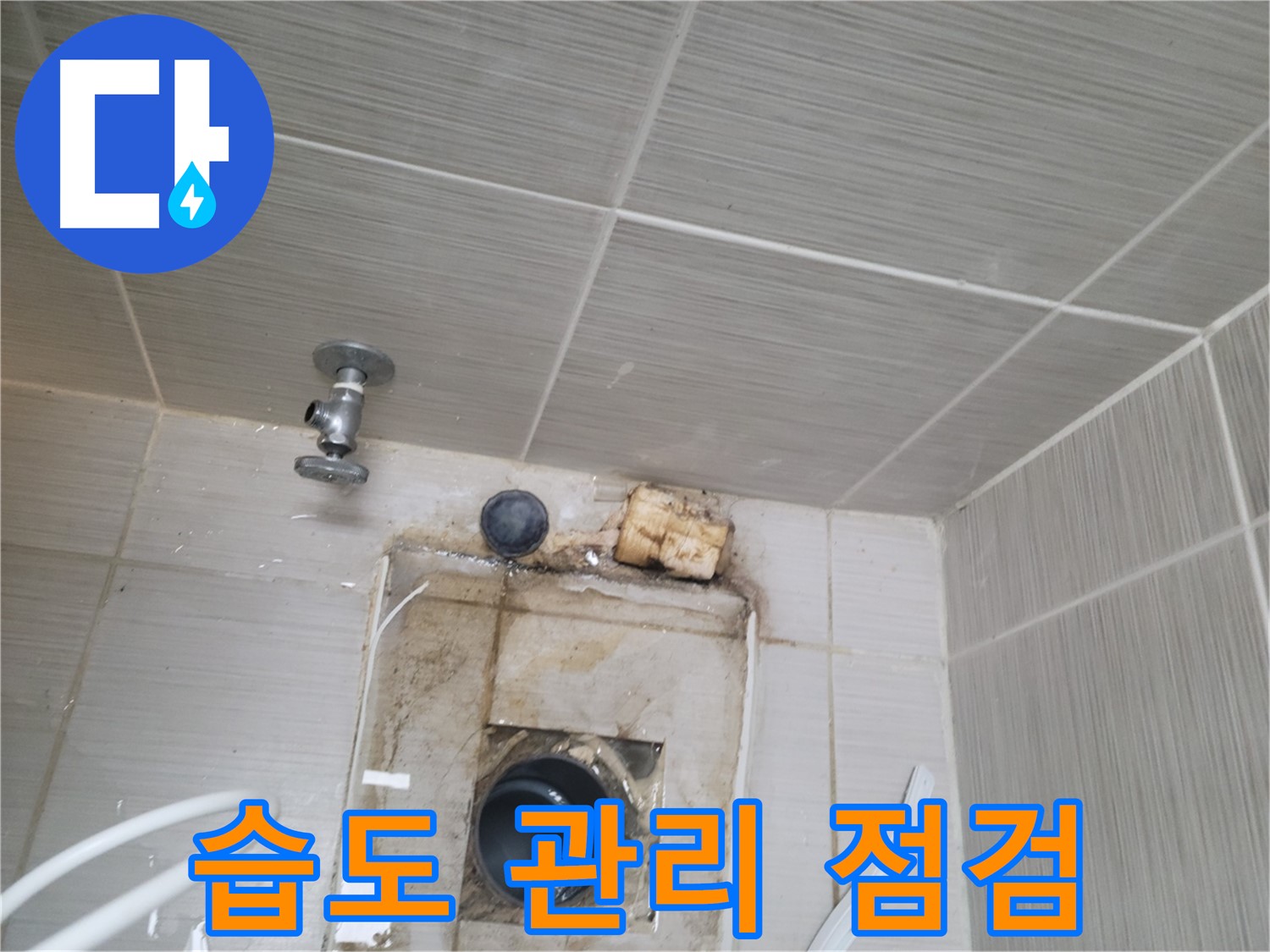 동두천시 중앙동 신창비바패밀리 - 배수구 주변 습도 관리 및 정기 점검으로 누수 예방