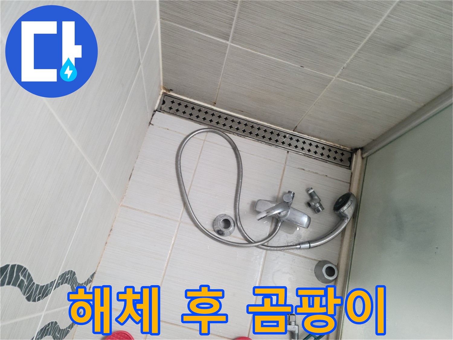 샤워기 수전 해체 후 곰팡이 발견 - 건강 위협