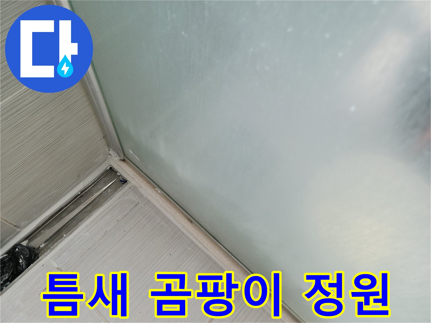 샤워부스 누수 - 틈새 벌어짐 - 곰팡이 정원