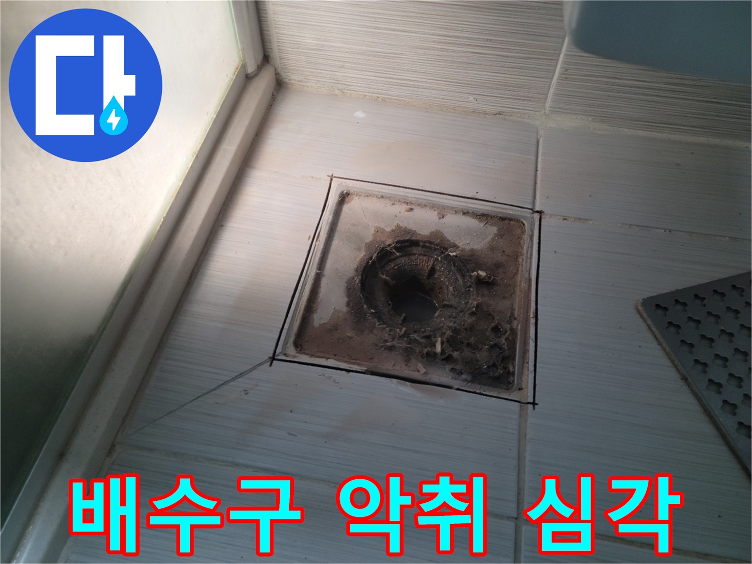 신창비바패밀리 욕실 배수구 - 악취 심각, 누수 긴급!