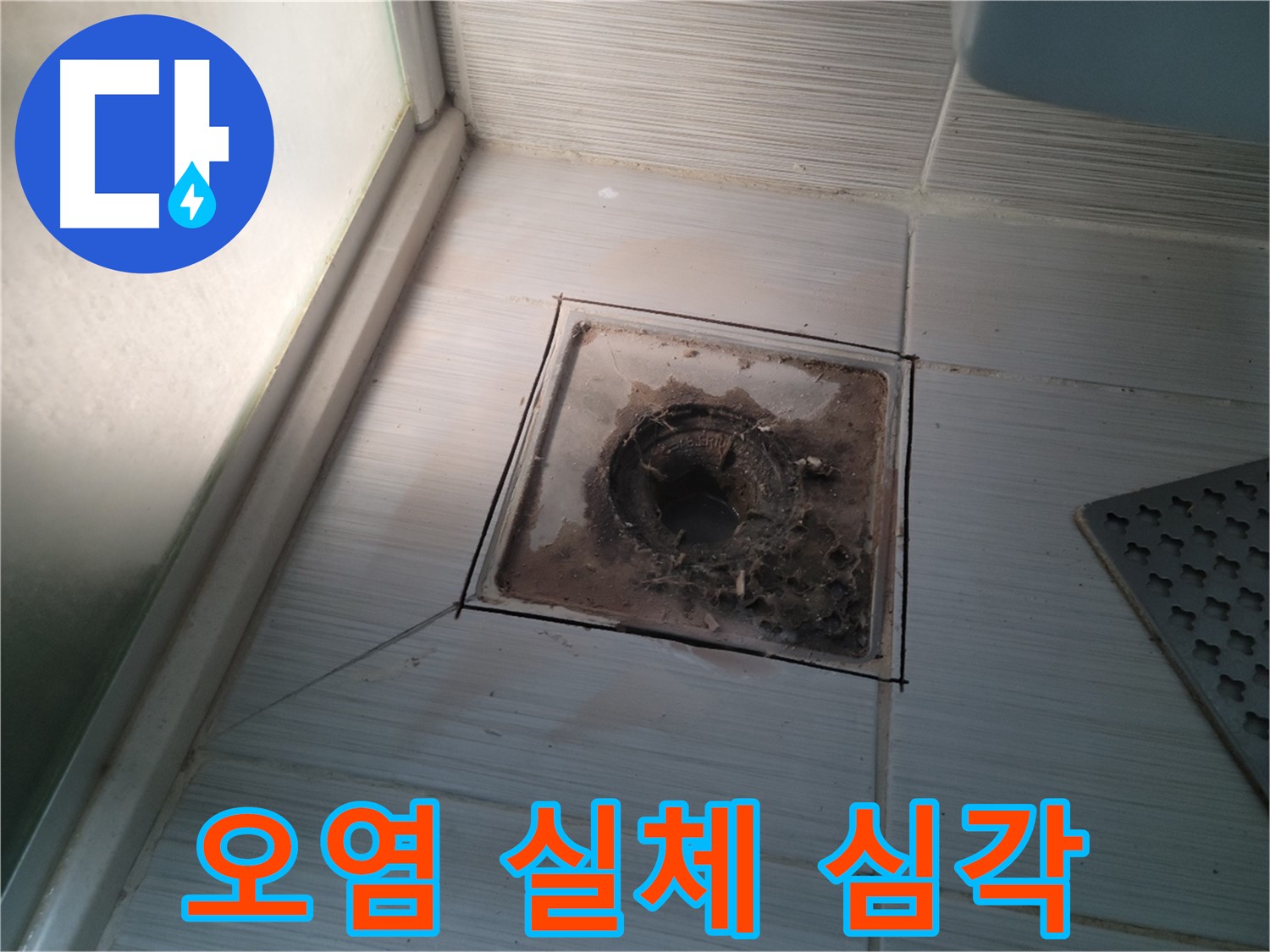 신창비바패밀리 욕실 배수구 - 오염의 심각한 실체!