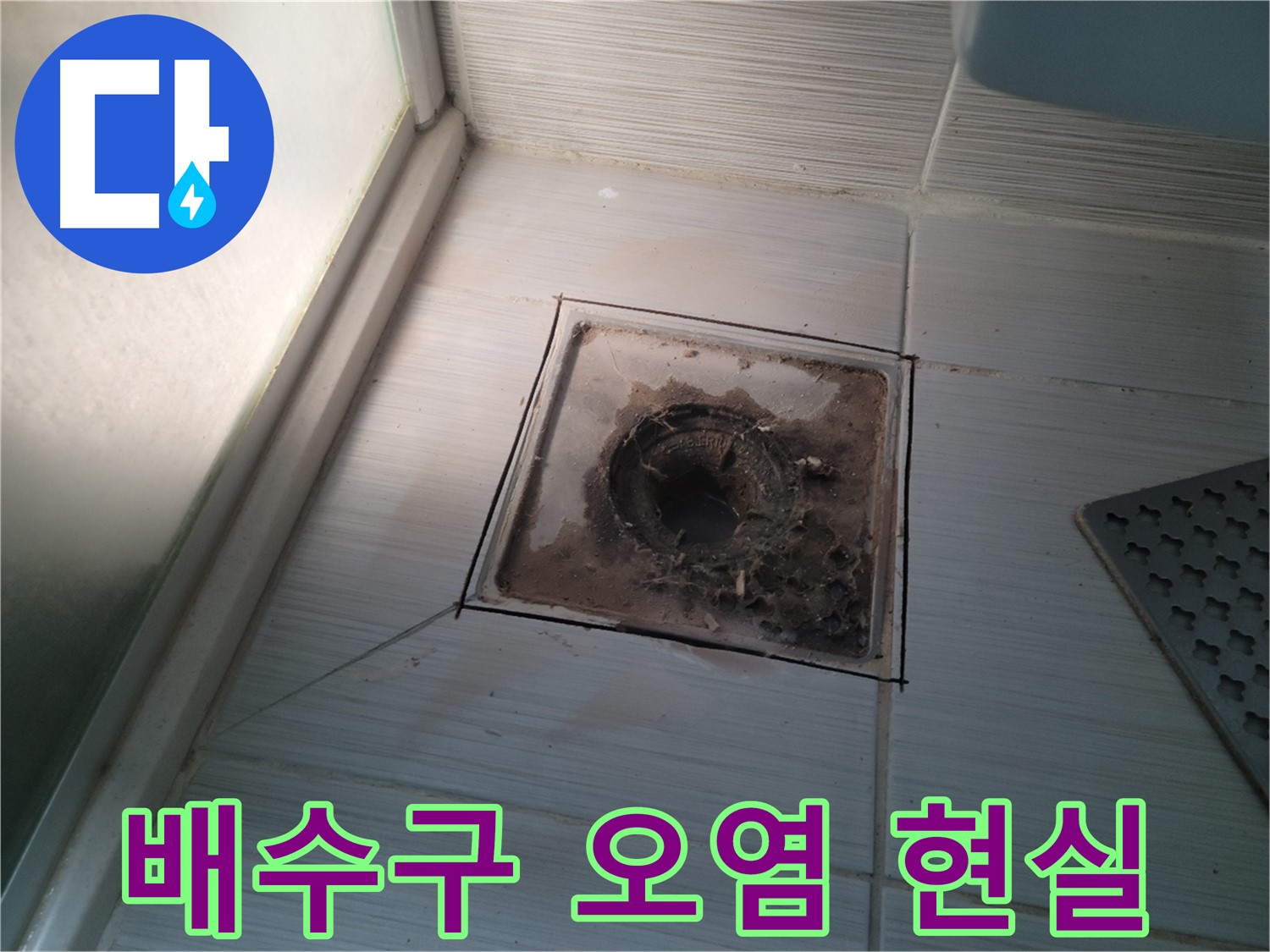 신창비바패밀리 욕실 배수구 - 오염의 심각한 현실!