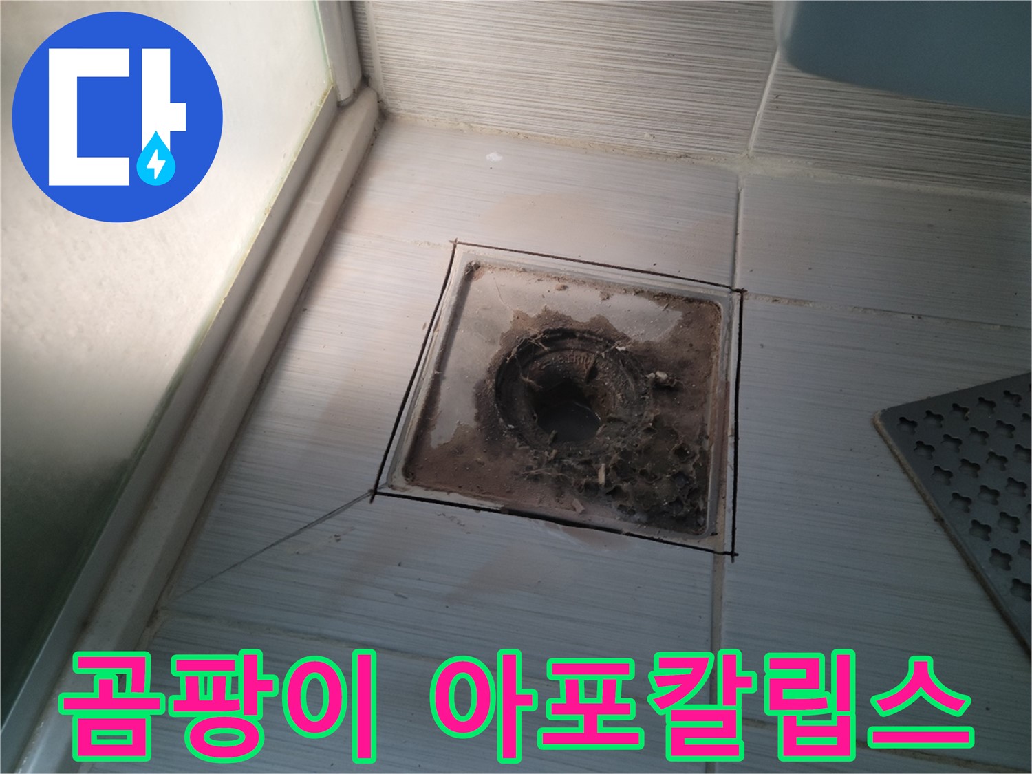 신창비바패밀리 욕실 배수구 주변 - 곰팡이 아포칼립스!