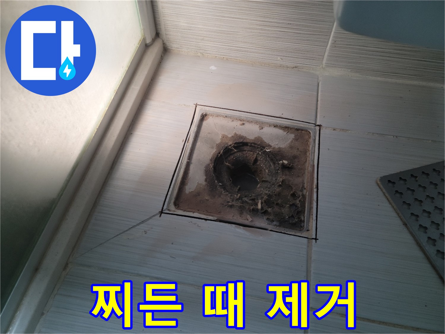 신창비바패밀리 욕실 배수구 - 찌든 때 완벽 제거 대작전!