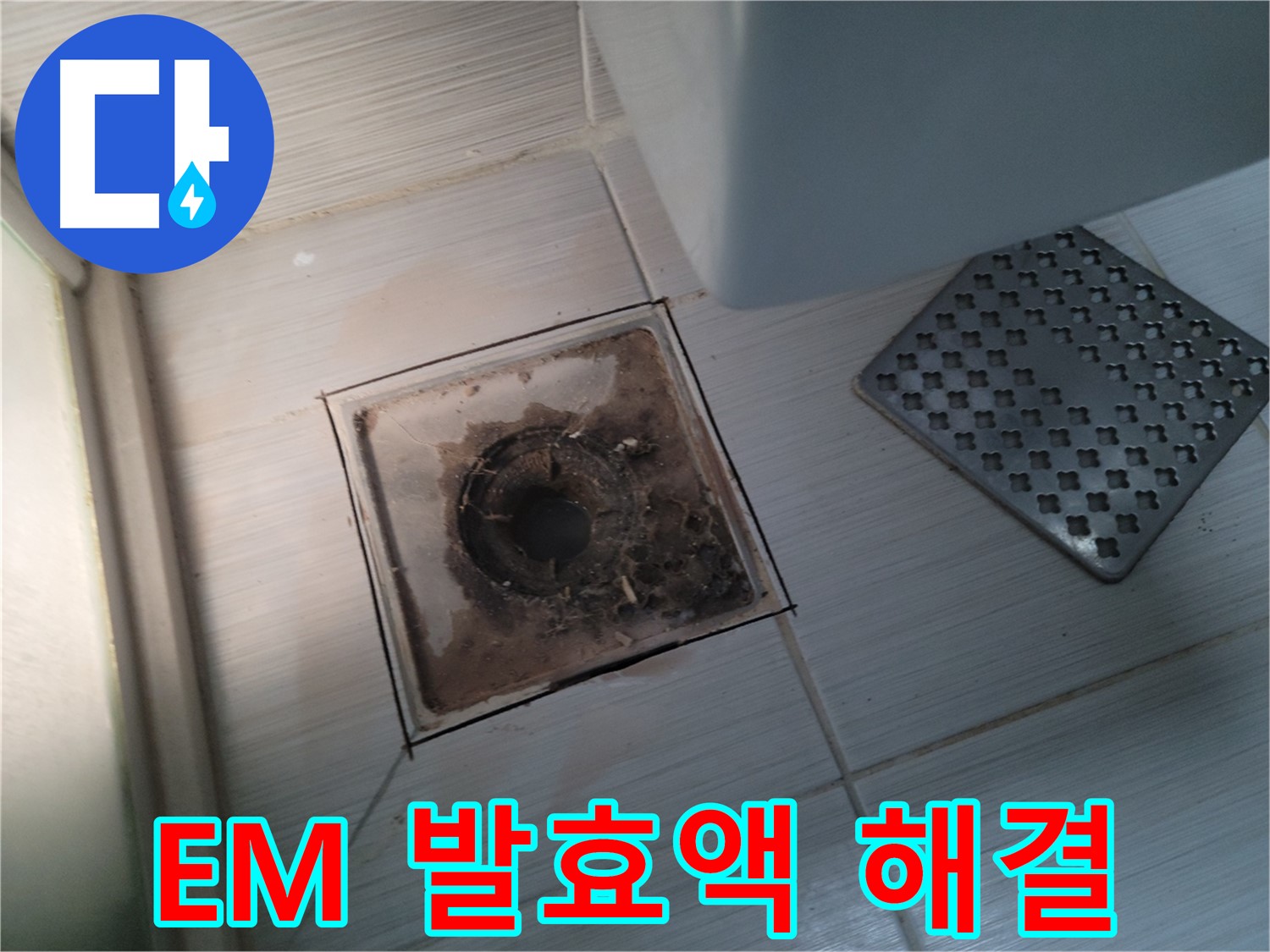 욕실 배수구 - 냄새 완벽 제거 - EM 발효액 사용