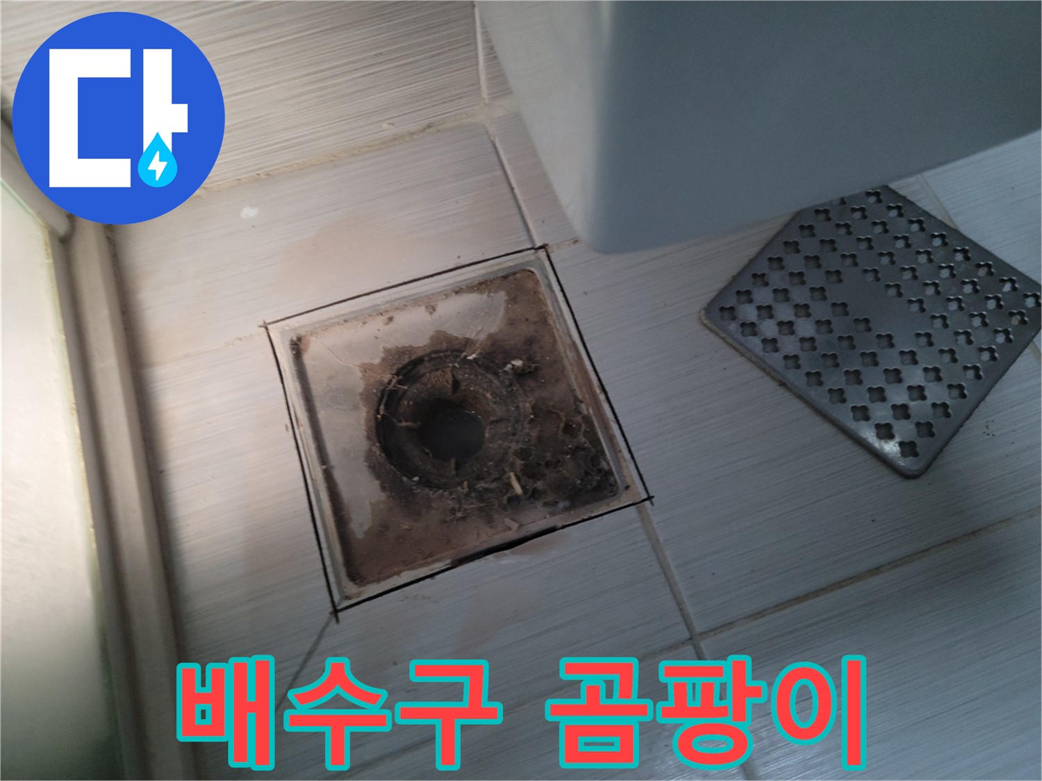욕실 배수구 주변 - 곰팡이 발생 - 곰팡이 제거 후 곰팡이 방지 코팅 시공으로 재발 방지