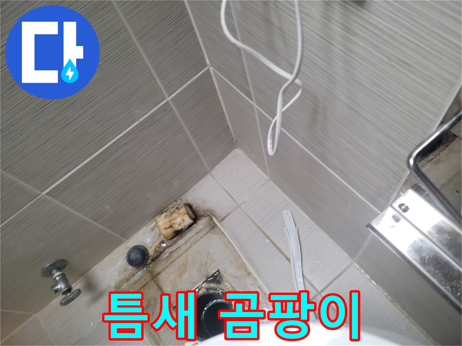 욕실 하수구 주변 - 타일 틈새 곰팡이