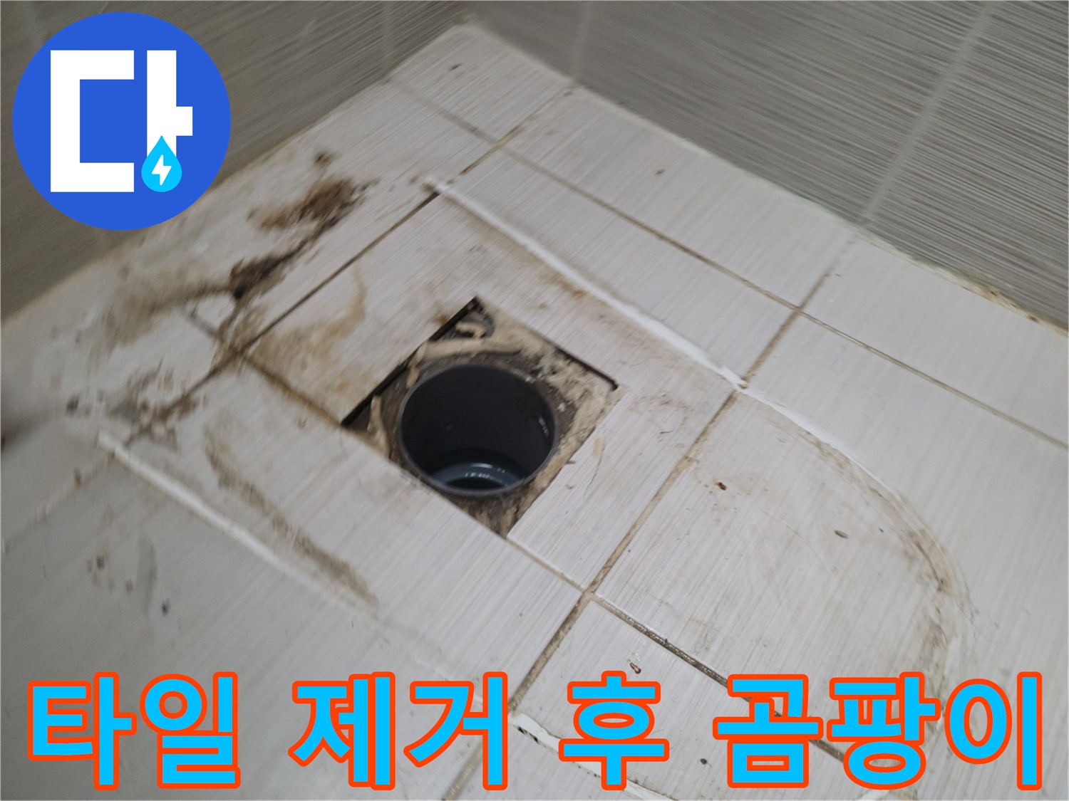 타일 제거 후 - 곰팡이 재발생 여부 확인
