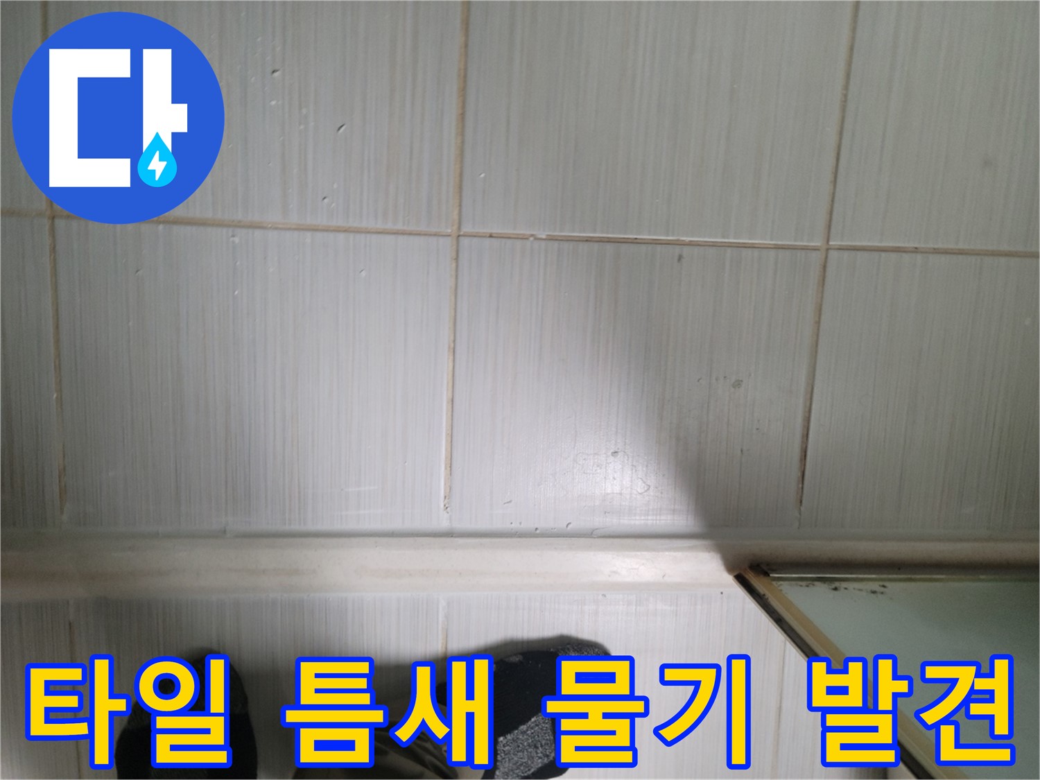 타일 틈새 물기 발견 - 작은 물기라도 놓치지 마세요. 누수의 시작일 수 있습니다.