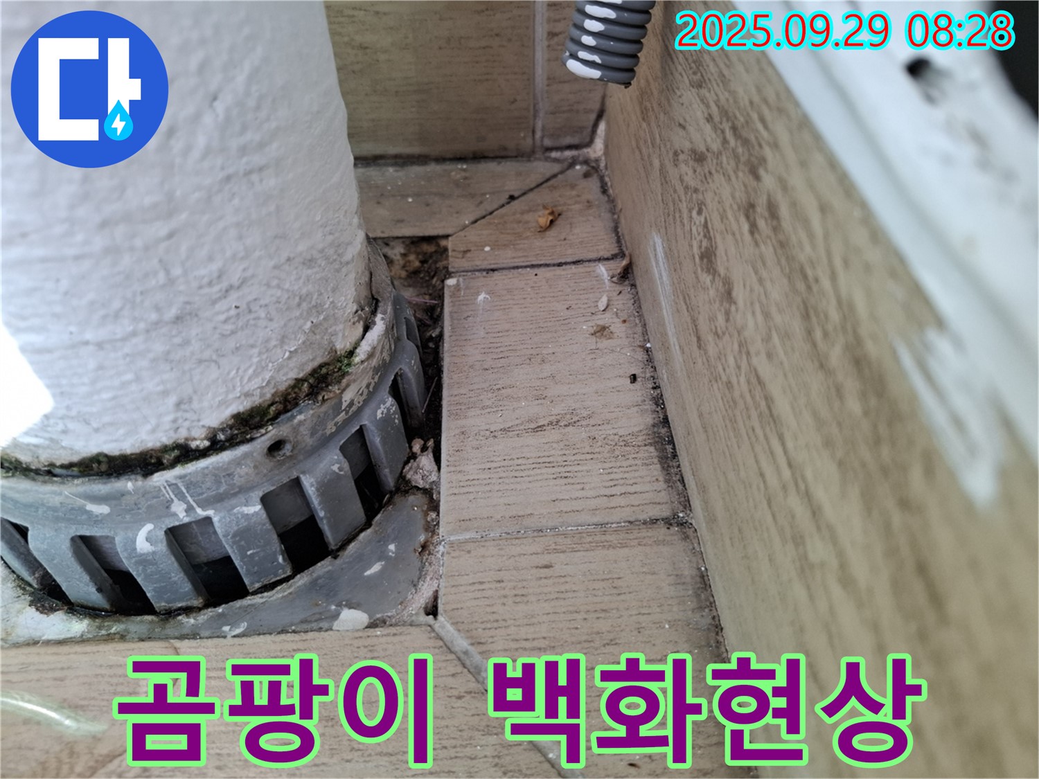 양주시 광적면 우고리 누수 - 배관 주변 곰팡이와 백화현상, 심각한 누수 의심