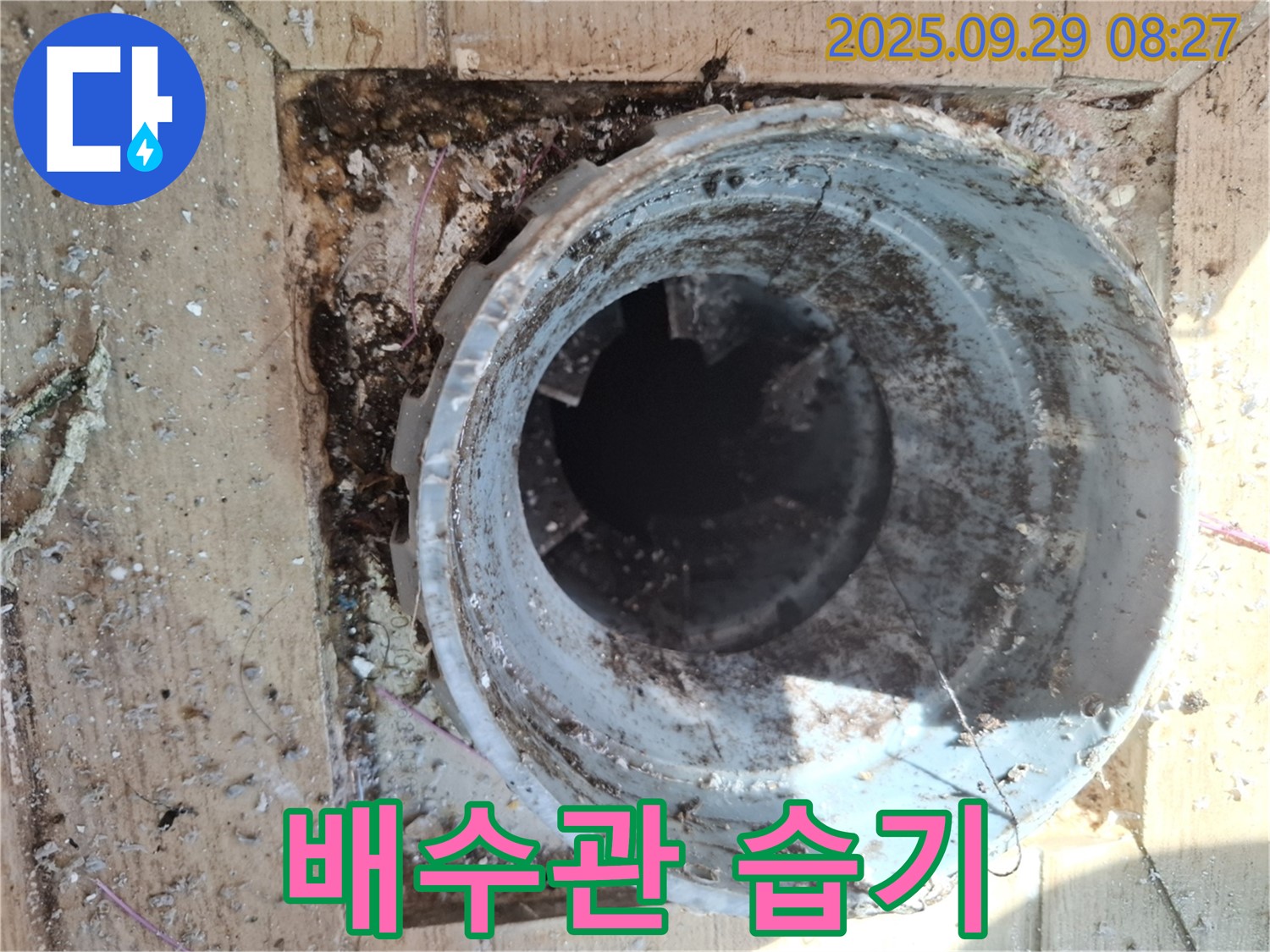 양주시 광적면 우고리 - 배수관 주변 습기, 곰팡이 번식 환경 조성