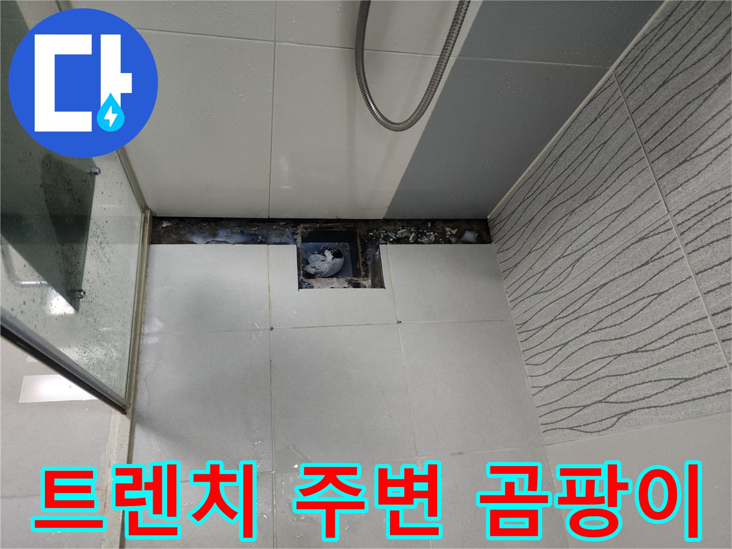 천안 두정동 욕실 트렌치 주변 곰팡이 - 누수 신호일 가능성