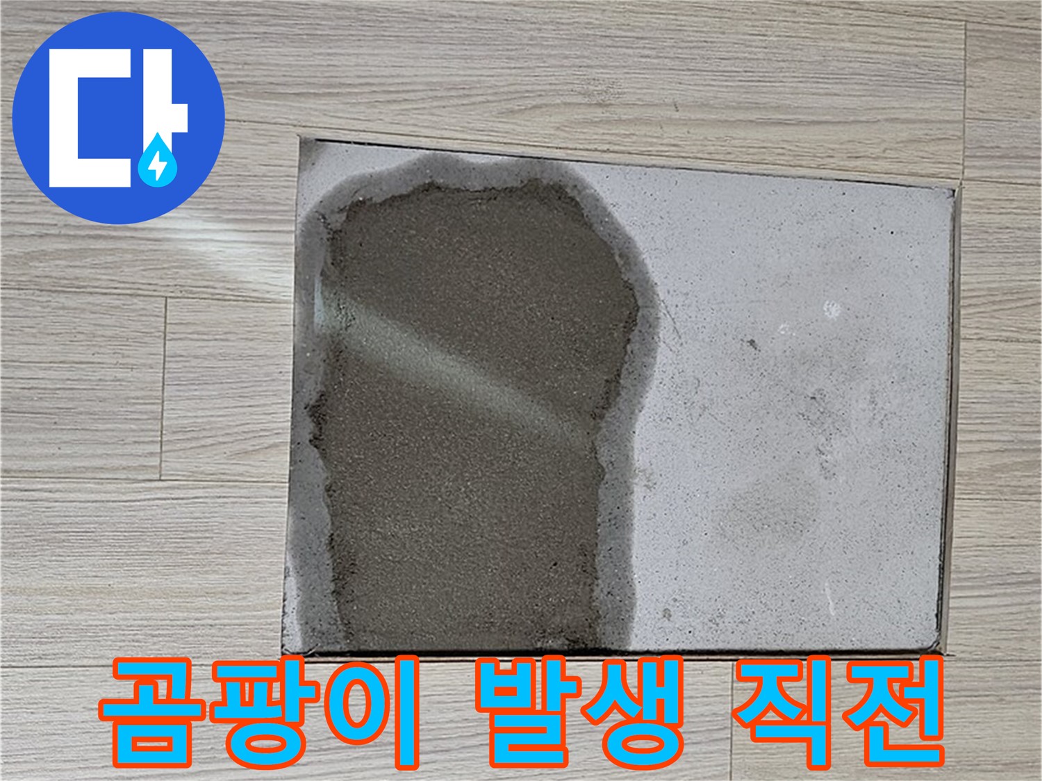도봉구 도봉동 현대시티 - 마루 밑 물, 곰팡이 발생 직전 상황