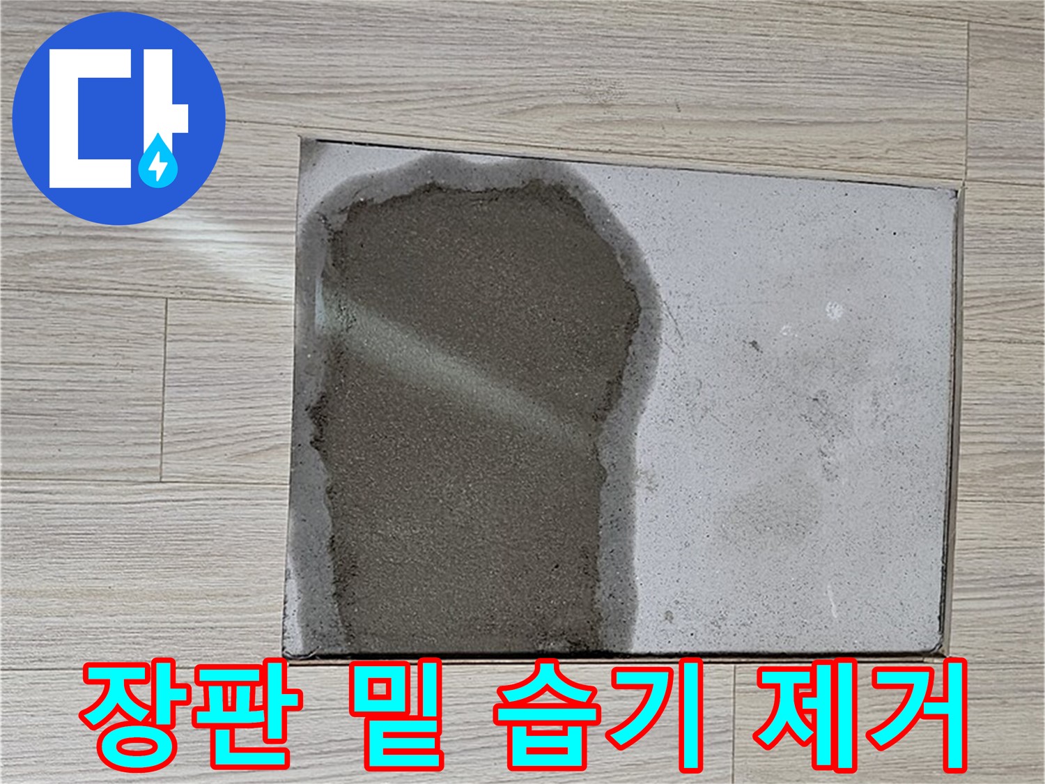 도봉구 도봉동 현대시티 - 마루 밑 물, 장판 밑 습기 - 완벽하게 제거