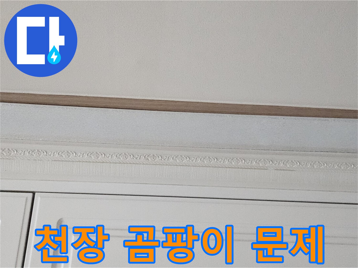 도봉구 현대시티 누수 - 몰딩 위 천장 곰팡이 문제