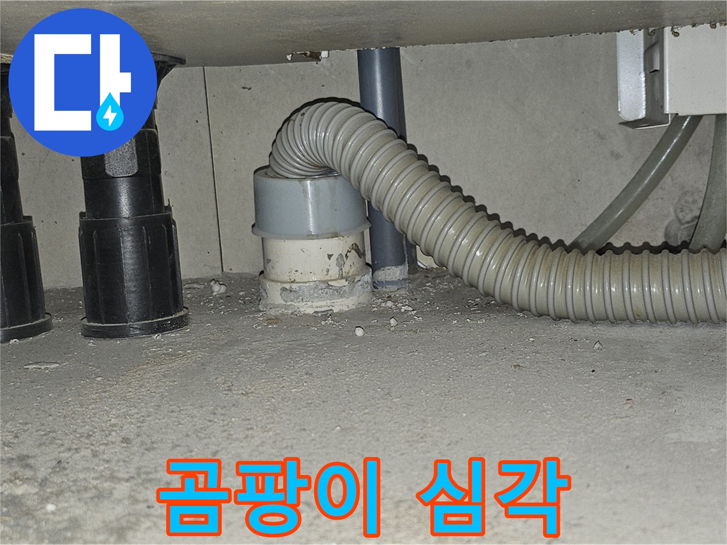 현대시티 누수 - 싱크대 배수관 주변 백시멘트 곰팡이 심각