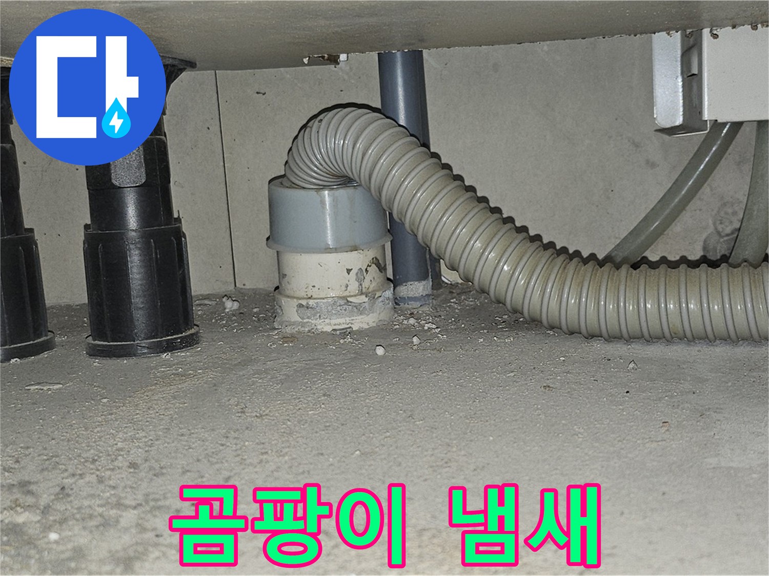현대시티 누수 - 싱크대 하수구 주변 백시멘트 곰팡이 냄새