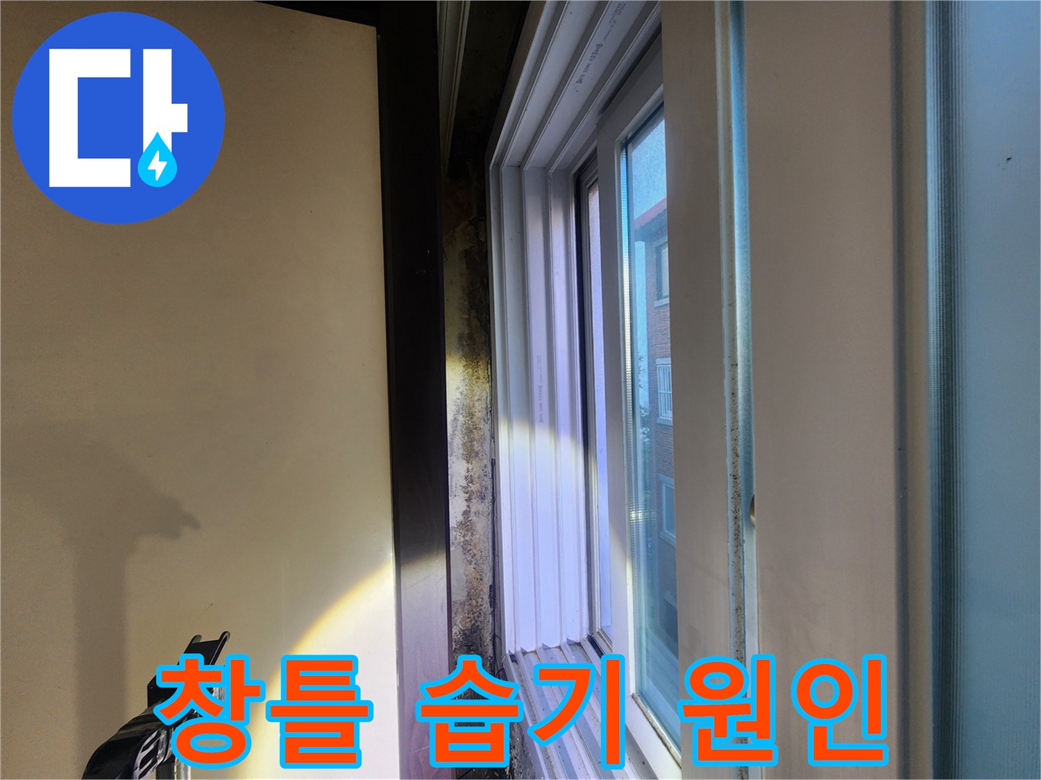 노원구 창틀 주변 습기 및 곰팡이 - 누수탐지 및 원인 진단 필요